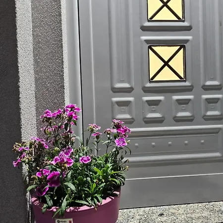 Apartament 31 *