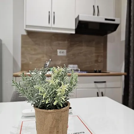 31 Apartament
